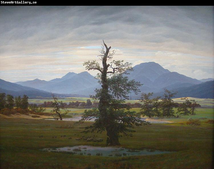 Caspar David Friedrich Landscape with Solitary Tree